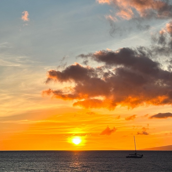 Meet your Posher, Jean - Picture 2 of 2